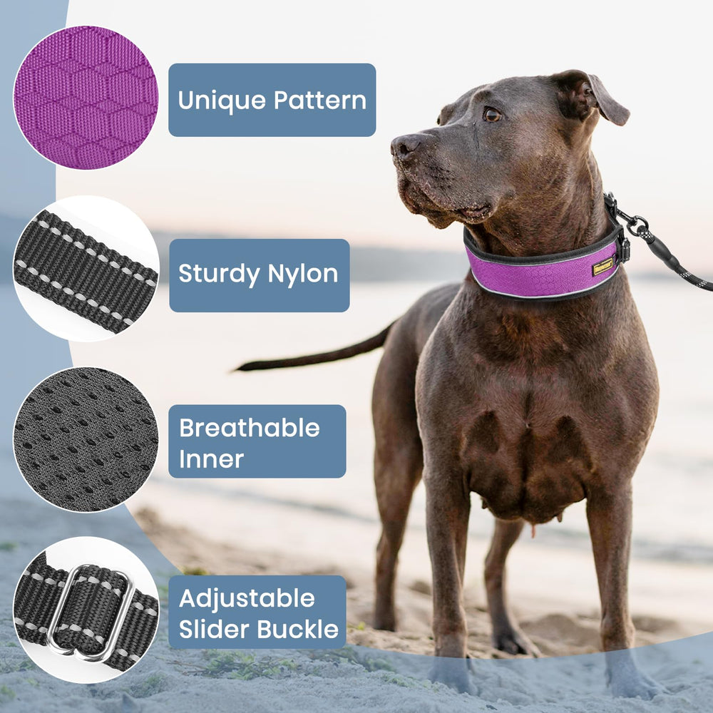 Mayerzon no-pull collar features reflective threads for safer nighttime visibility.