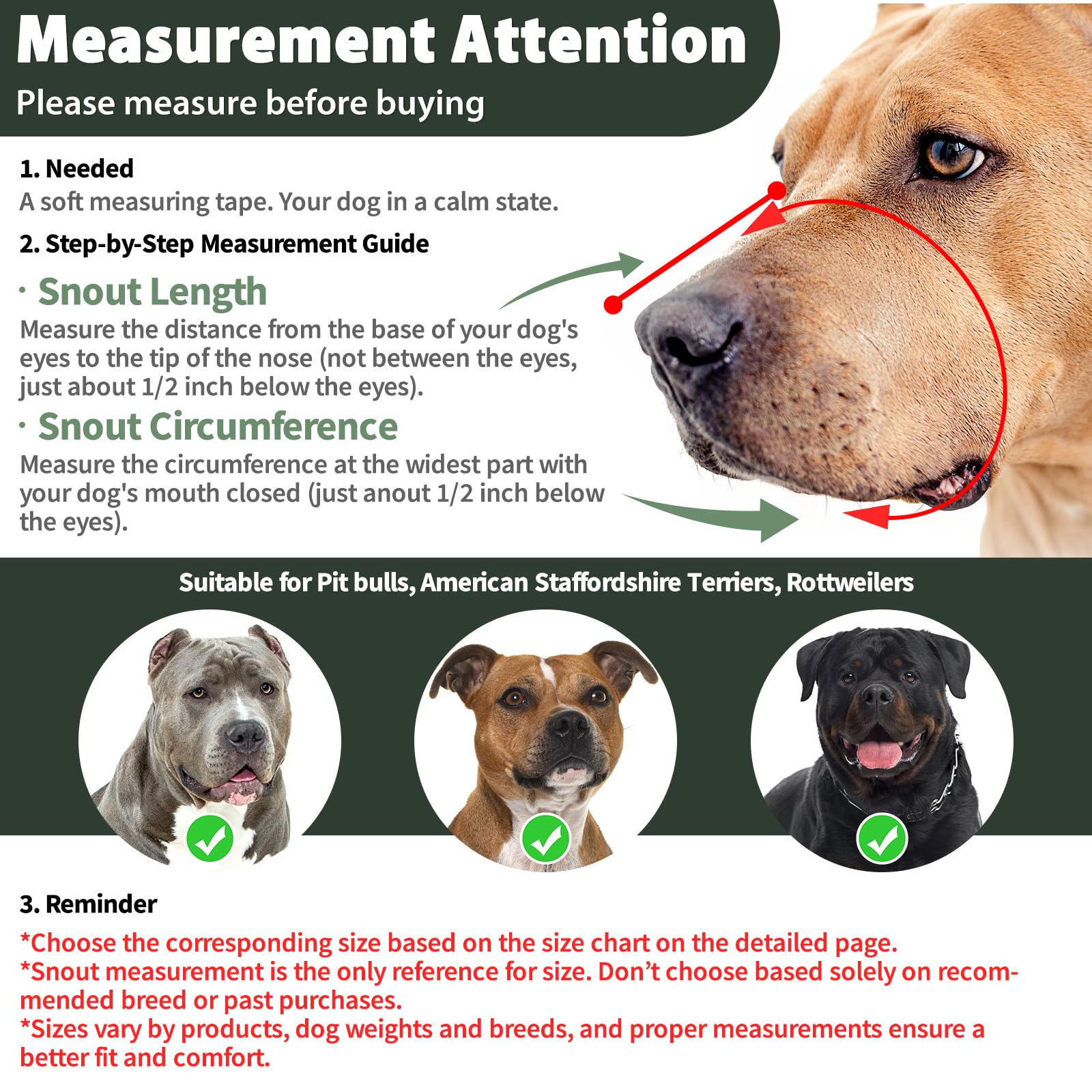 Mayerzon Pitbull Muzzle with adjustable straps demonstrates a snug, flexible fit for large dogs
