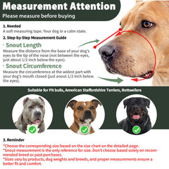 Mayerzon Pitbull Muzzle with adjustable straps demonstrates a snug, flexible fit for large dogs