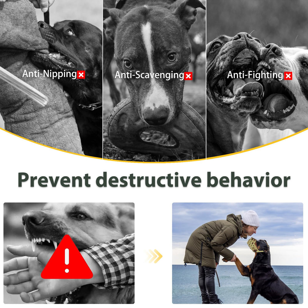 Mayerzon Pitbull Muzzle measurement guide supports accurate sizing for a good fit