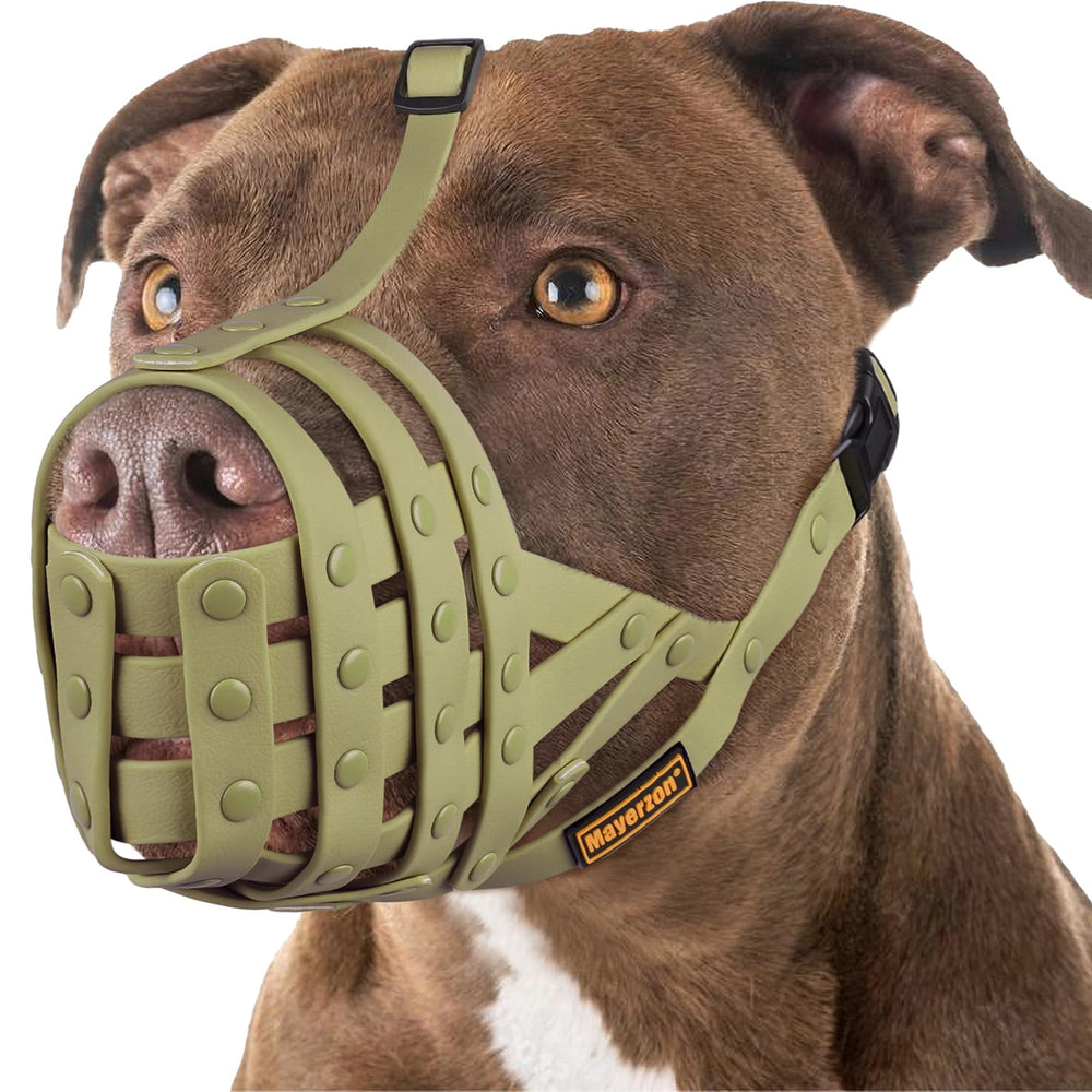 Mayerzon Pitbull Muzzle overview highlights protective basket design for safe, comfortable daily wear