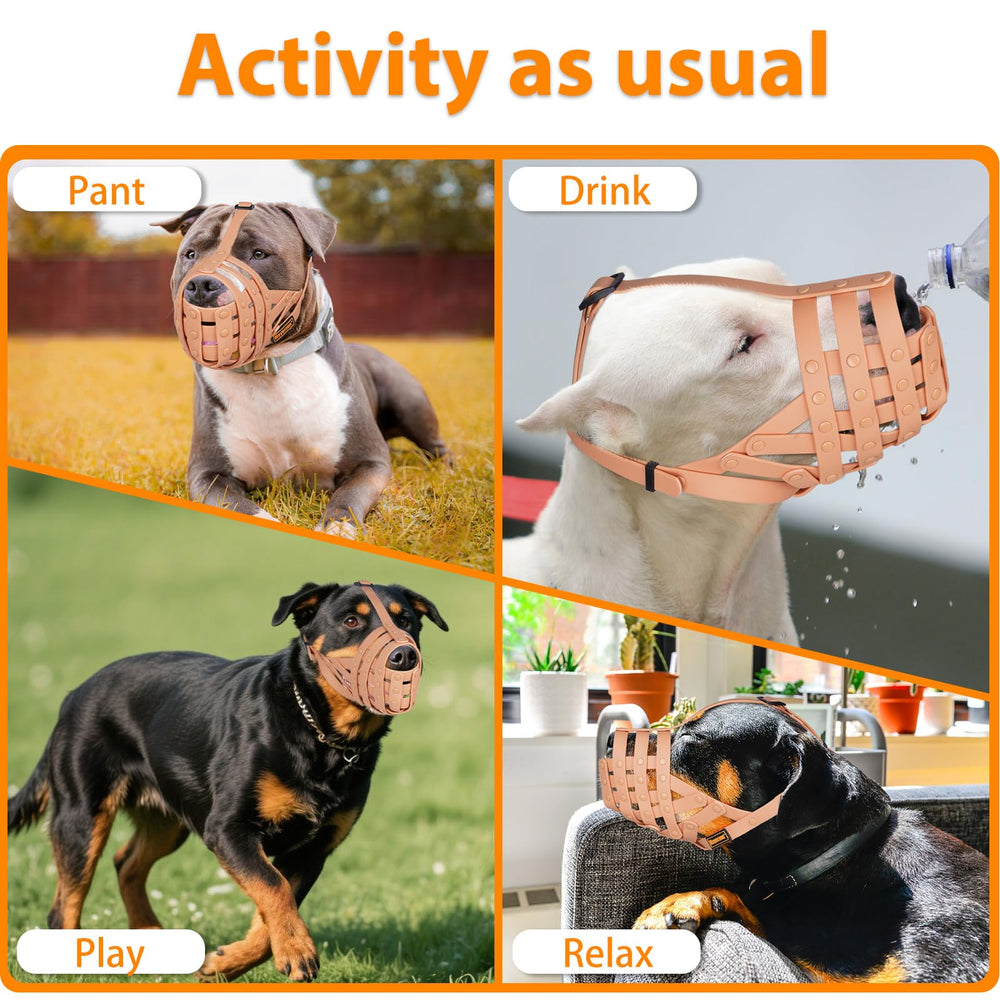 Mayerzon Pitbull Muzzle in daily walks and grooming for safer handling