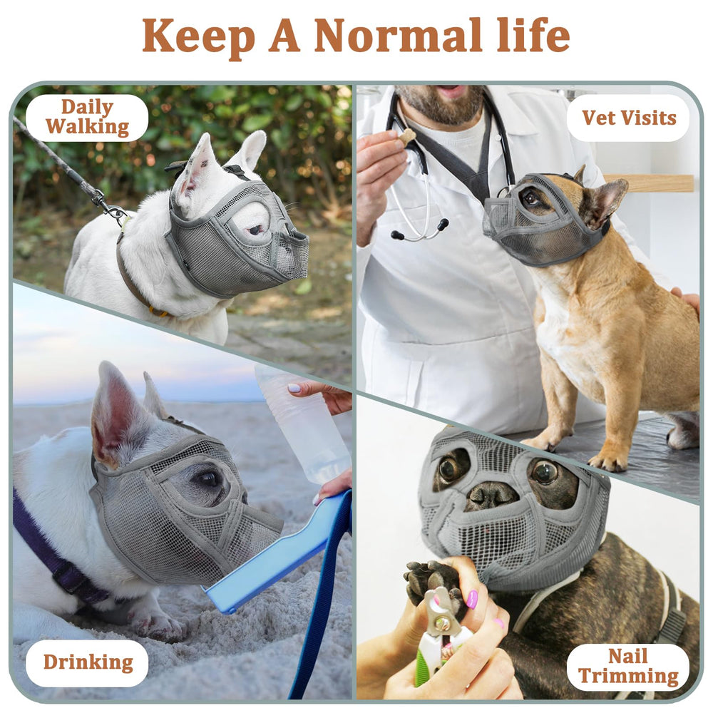 Mayerzon safety reminder to supervise muzzled dogs during outings
