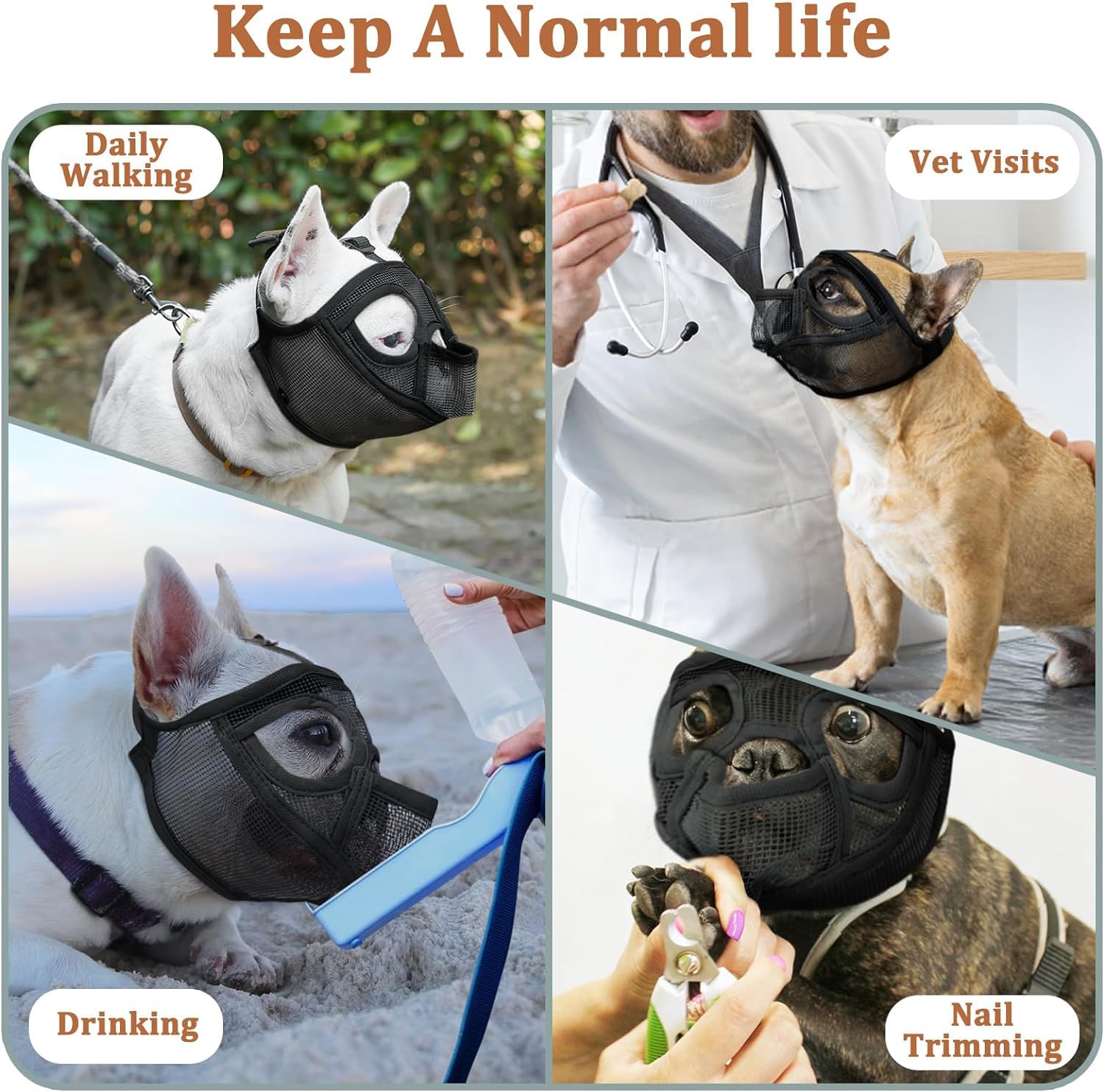 Mayerzon supervise muzzled dogs to reduce risk during outdoor outings