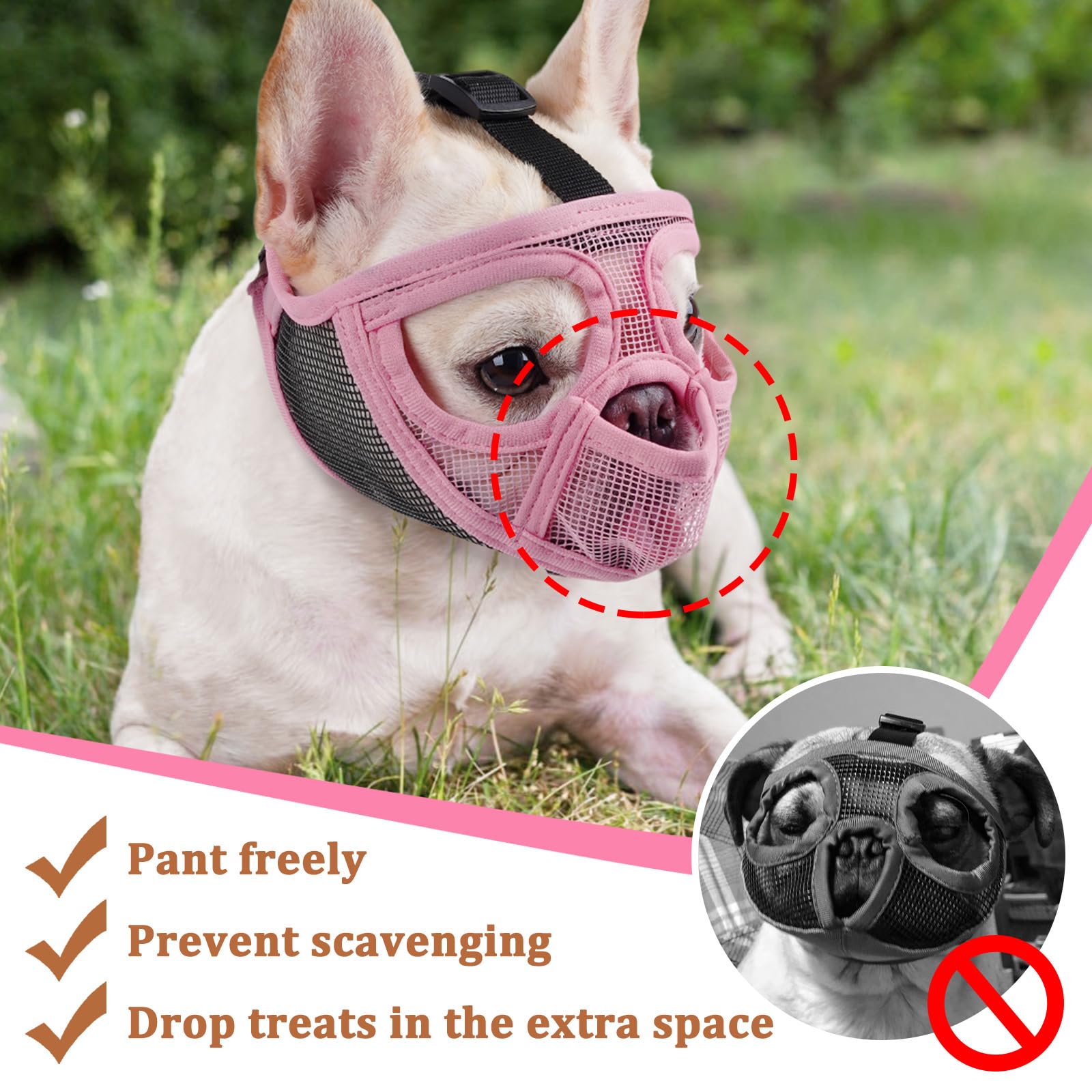 Mayerzon eyehole design preserves vision for confident wearing during grooming and walks.