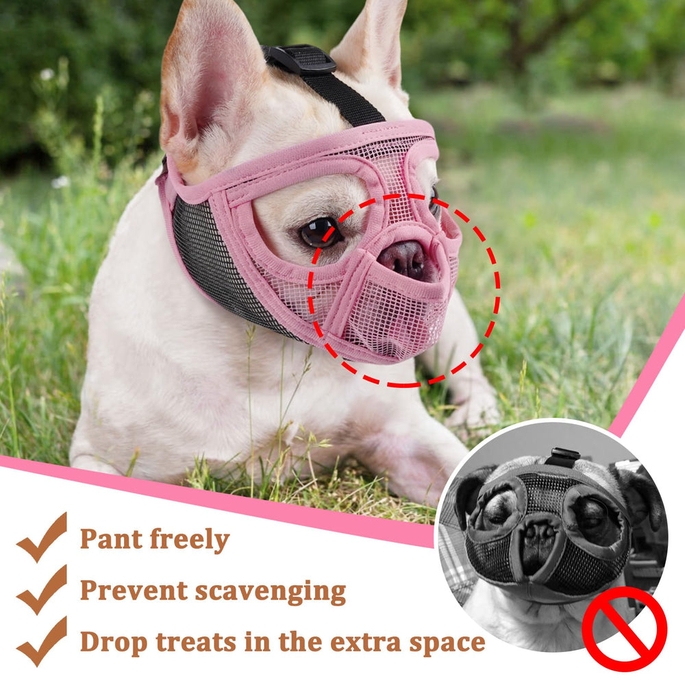 Mayerzon eyehole design preserves vision for confident wearing during grooming and walks.