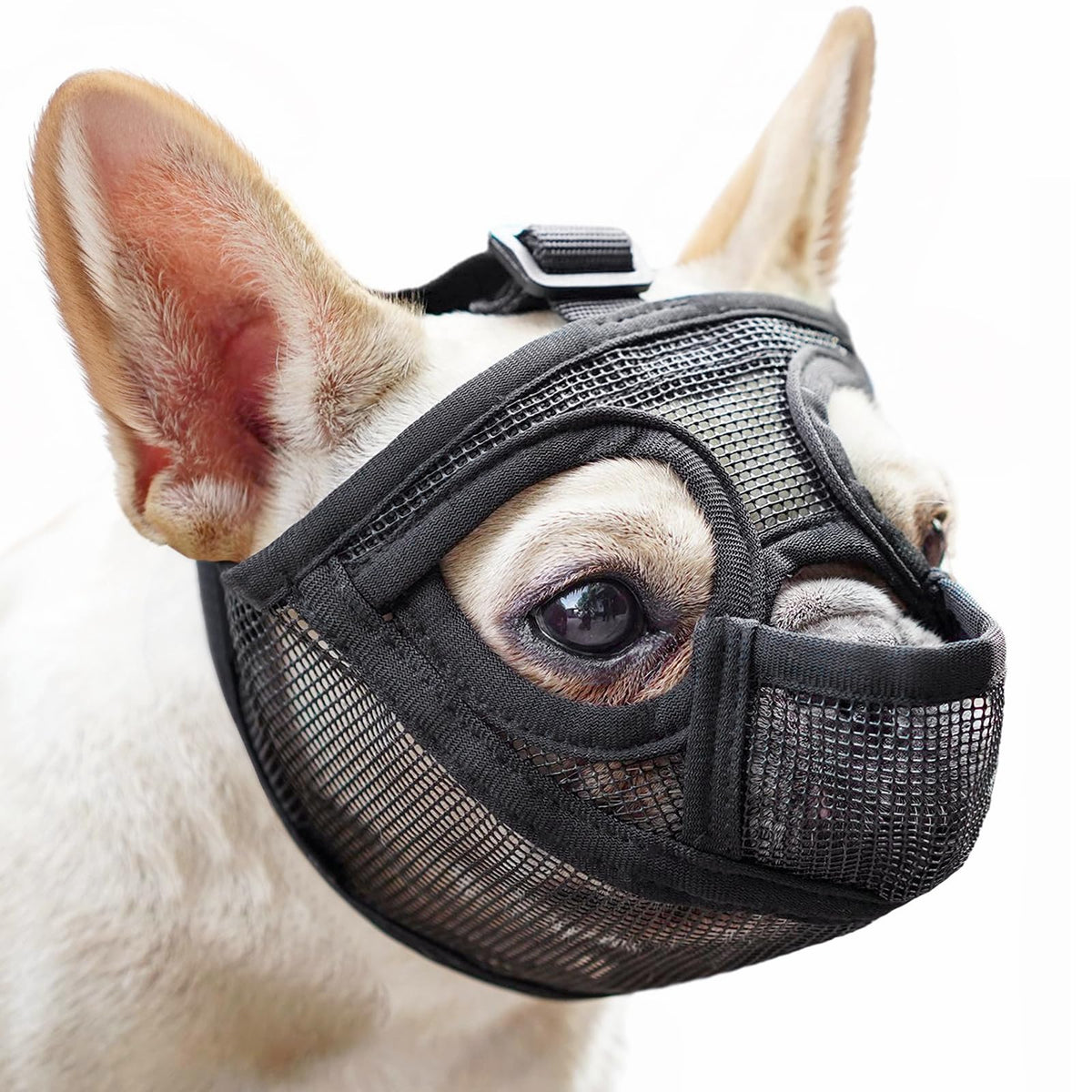 Mayerzon Short Snout Muzzle with full pant design enables breathing outdoors.