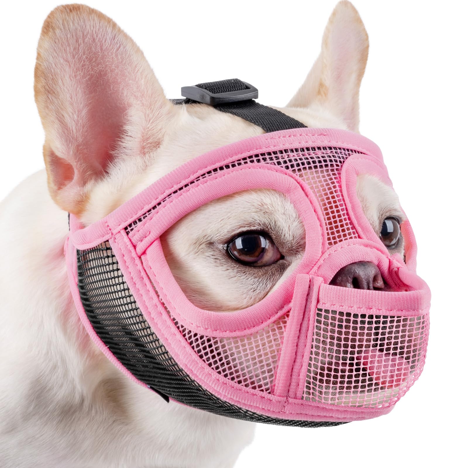 Mayerzon short snout muzzle with full pant design for safe outdoor walks and panting.