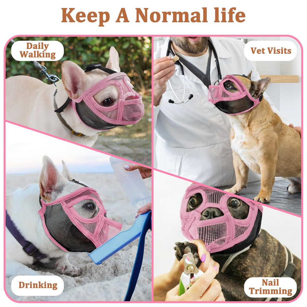 Mayerzon muzzle suitable for supervised outdoor activity with reduced bite risks.
