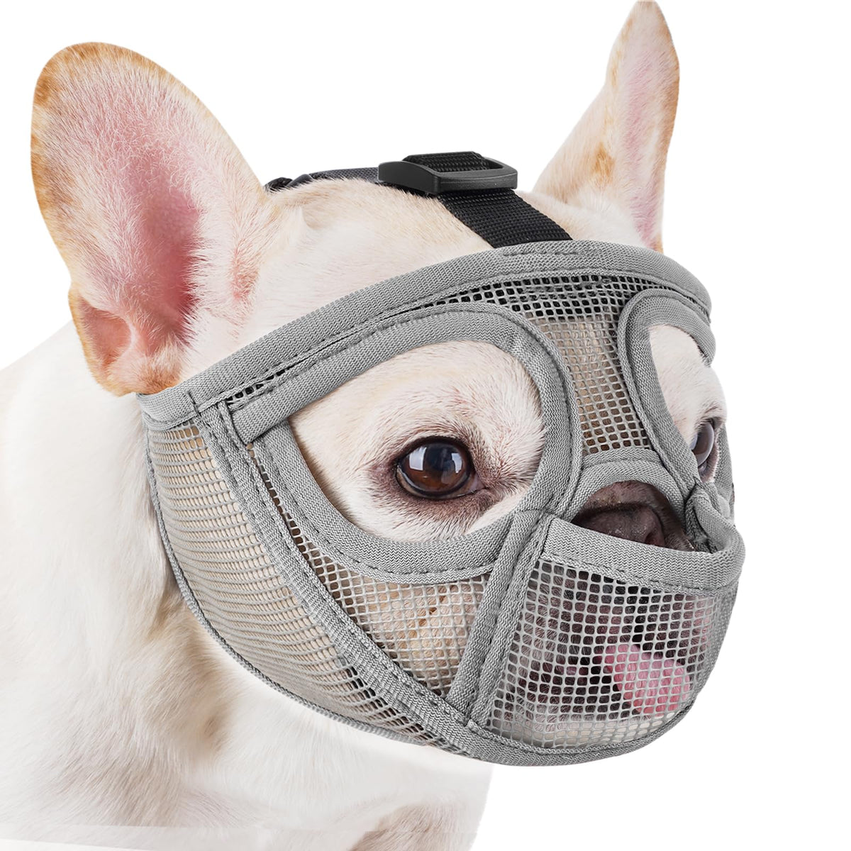 Mayerzon short snout muzzle with pant design enables breathing and prevents ground scavenging