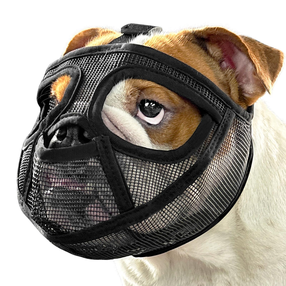 Mayerzon short snout muzzle mouth-pocket design enables panting and safety during walks