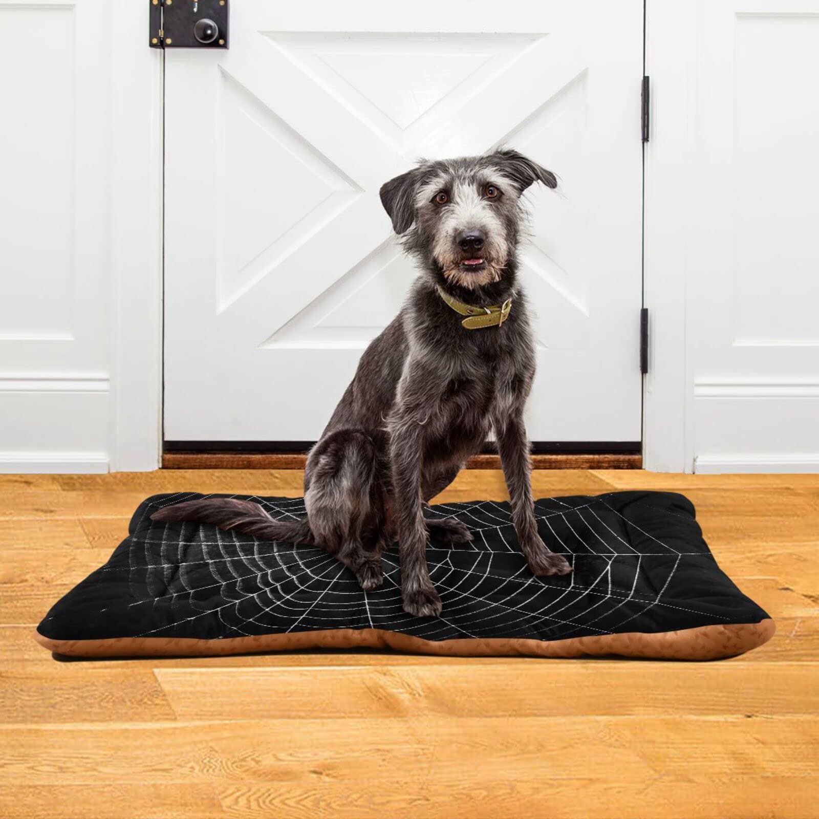 Mazeann dog bed mat plush surface offers a cozy, stress-free rest