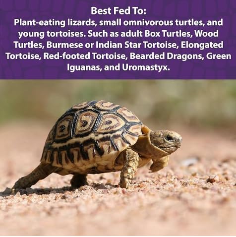 Mazuri Juvenile Tortoise Food serving dish demonstrates portioning for daily feeding.