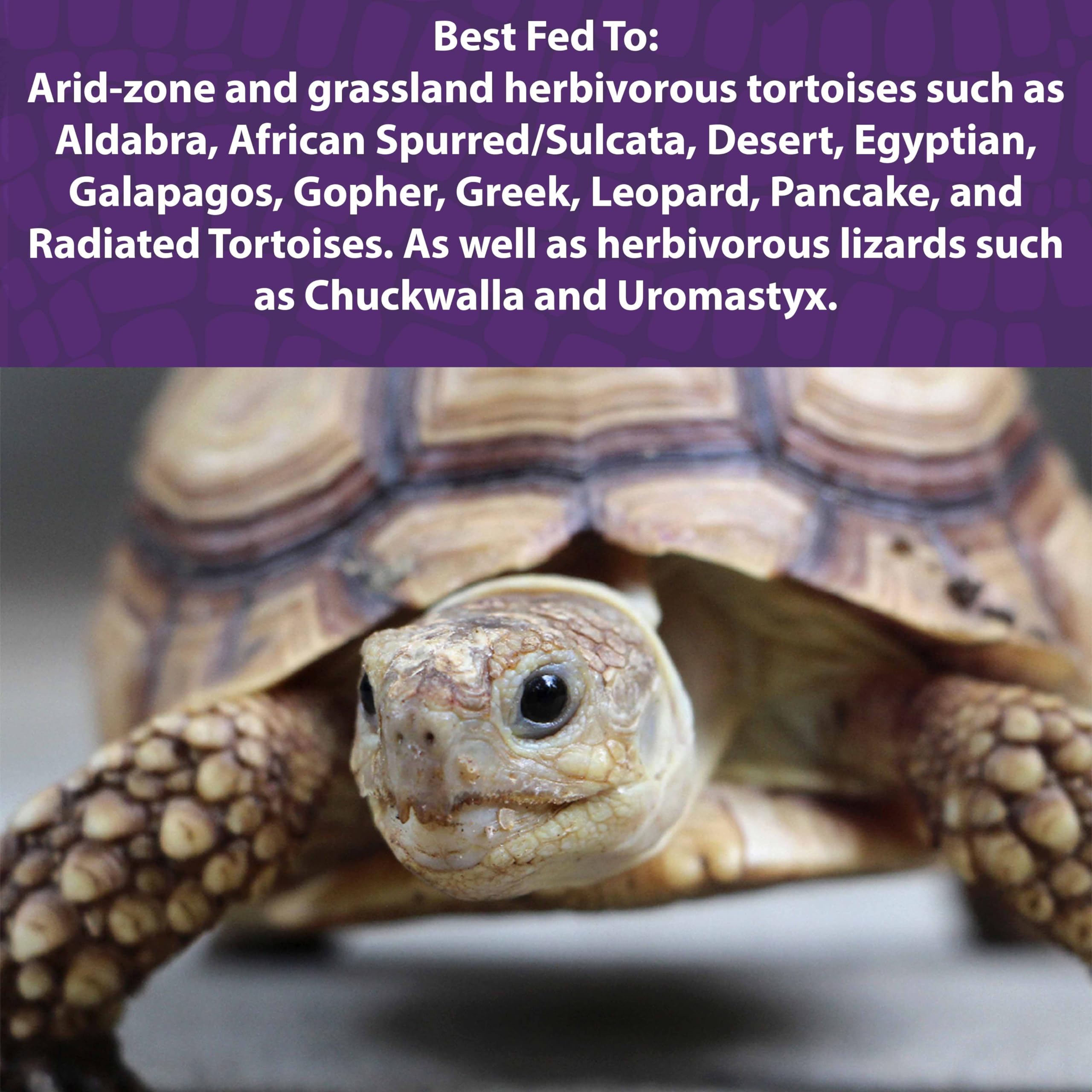 Mazuri Low Starch Tortoise Diet kibble close-up emphasizes digestible nutrition for tortoise gastrointestinal health.