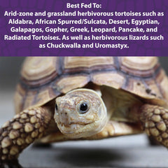Mazuri Low Starch Tortoise Diet kibble close-up emphasizes digestible nutrition for tortoise gastrointestinal health.