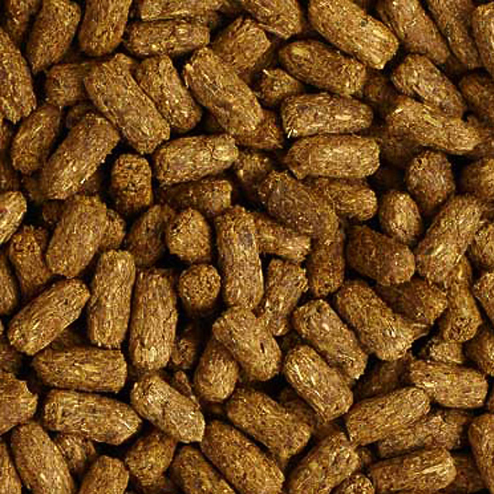 Mazuri Low Starch Tortoise Diet kibble detail highlights texture for chewing.