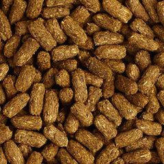 Mazuri Low Starch Tortoise Diet kibble detail highlights texture for chewing.