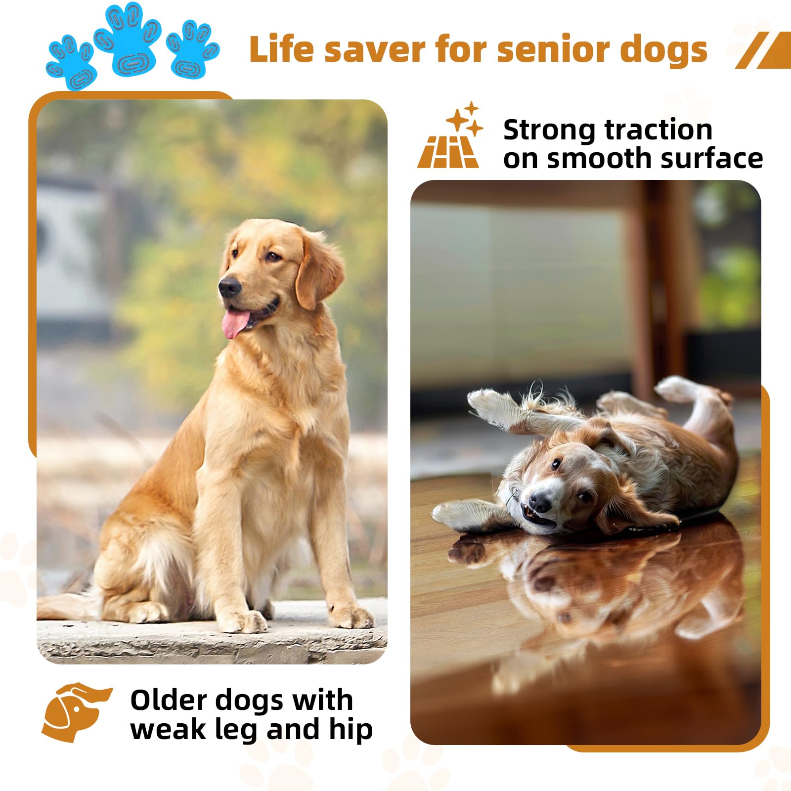 MBTWZ 12-sets-48-pcs blue pack suits indoor use for dogs.