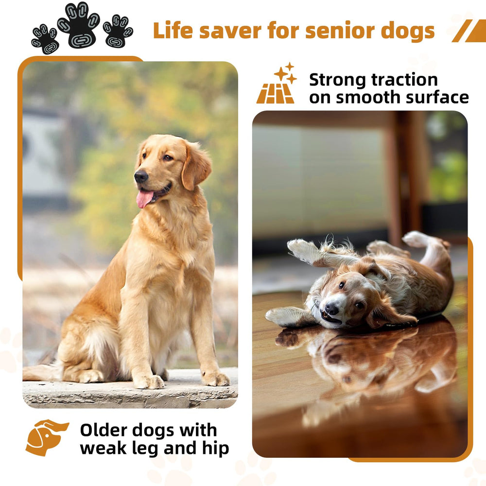 MBTWZ 12-sets packaging with XXXL size option for larger senior dogs.