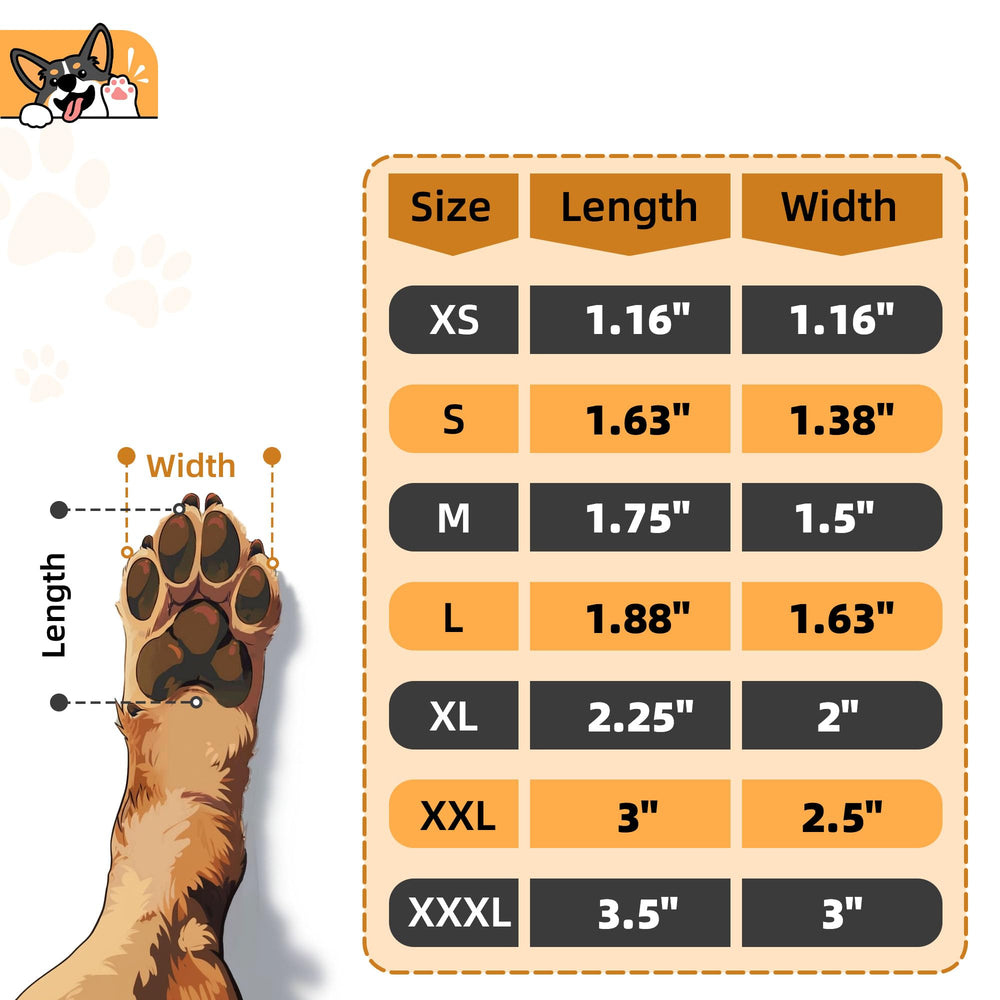 MBTWZ dog paw pads adhesive application scene indoors