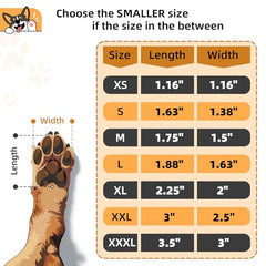 MBTWZ Non-Slip Paw Pads on hardwood floor demonstrating improved grip for seniors