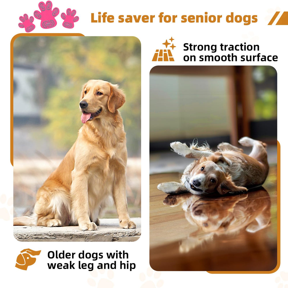 MBTWZ 12-set 48-pc XL pack for multi-dog households