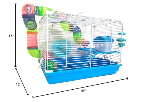 Mcage transparent food bowl enables quick meal checks