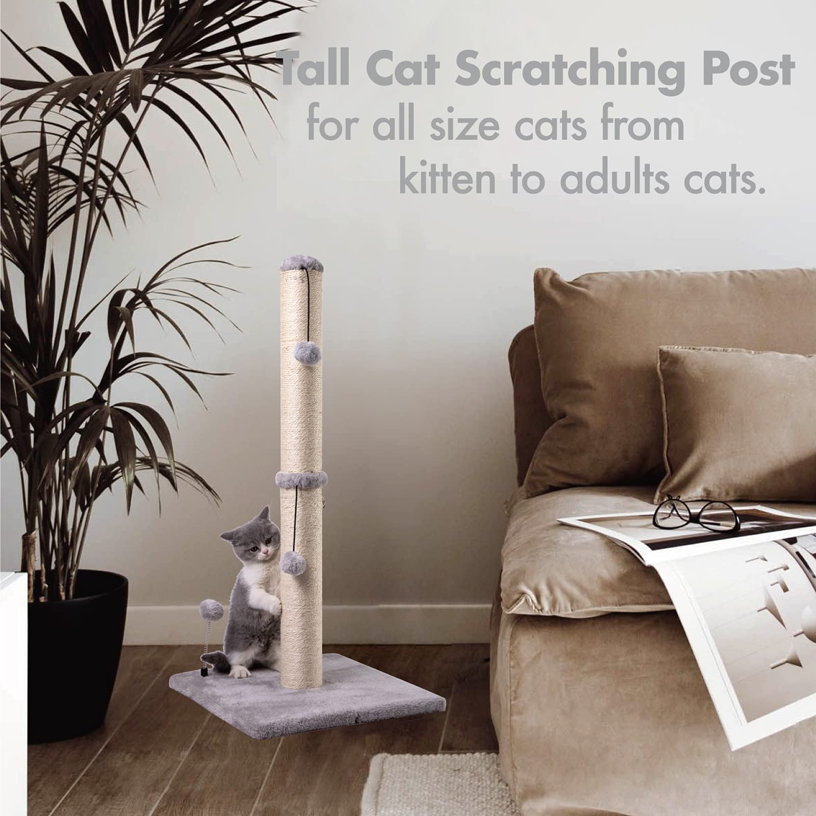 MECOOL 34-inch tall design accommodates kittens and adult cats seeking vertical scratching.