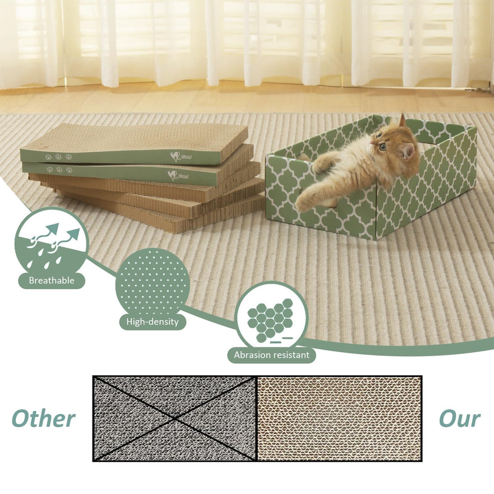 MECOOL Cat Nip Pack highlights included enrichment for playful cats.