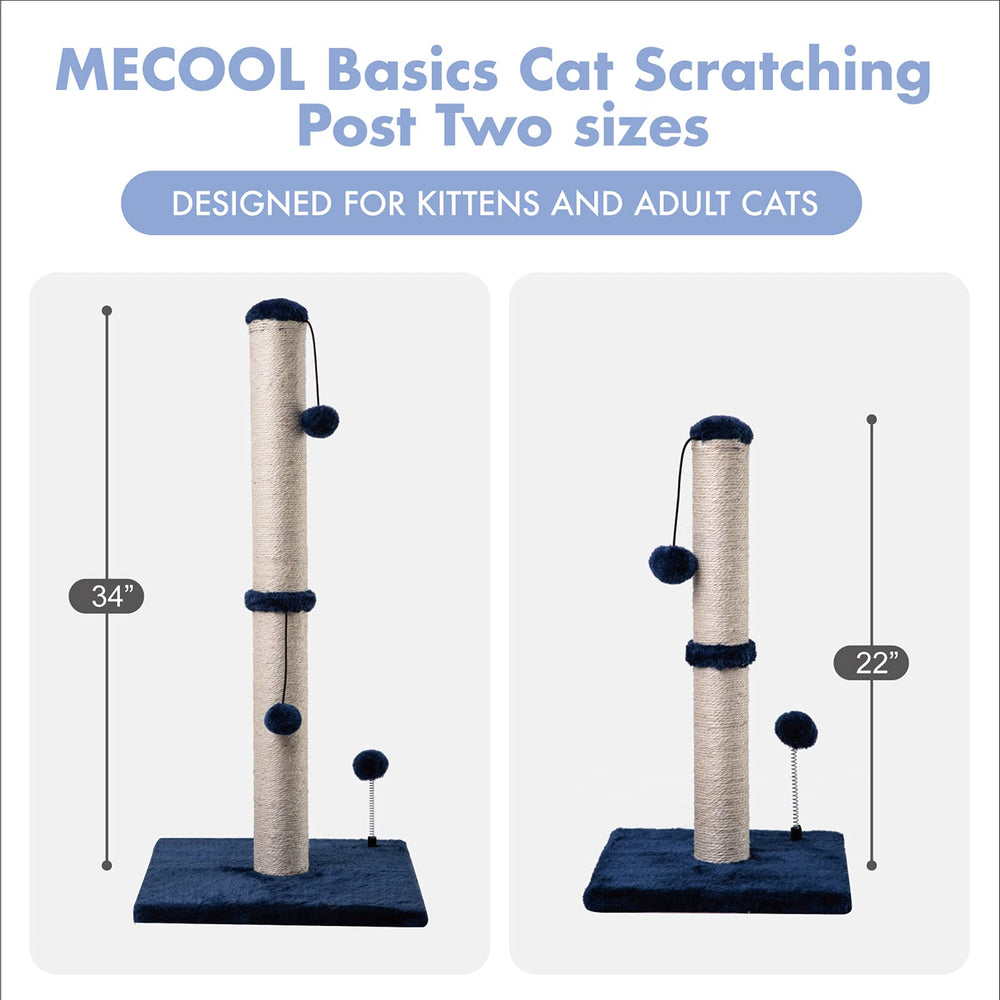 MECOOL cat at play with hanging ball demonstrates interactive enrichment