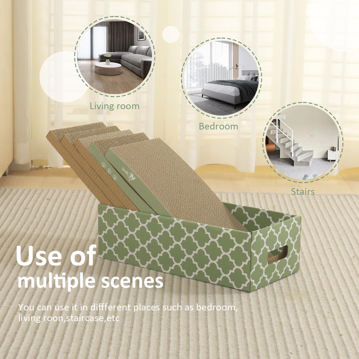 MECOOL cat resting on the box showcasing multi-use design