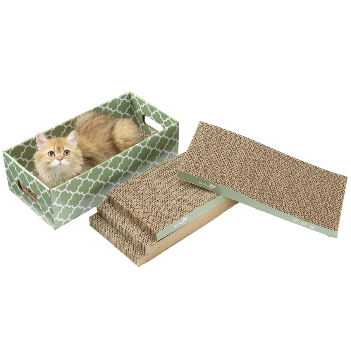MECOOL cat scratching board main view with box and lounge bed for indoor cats