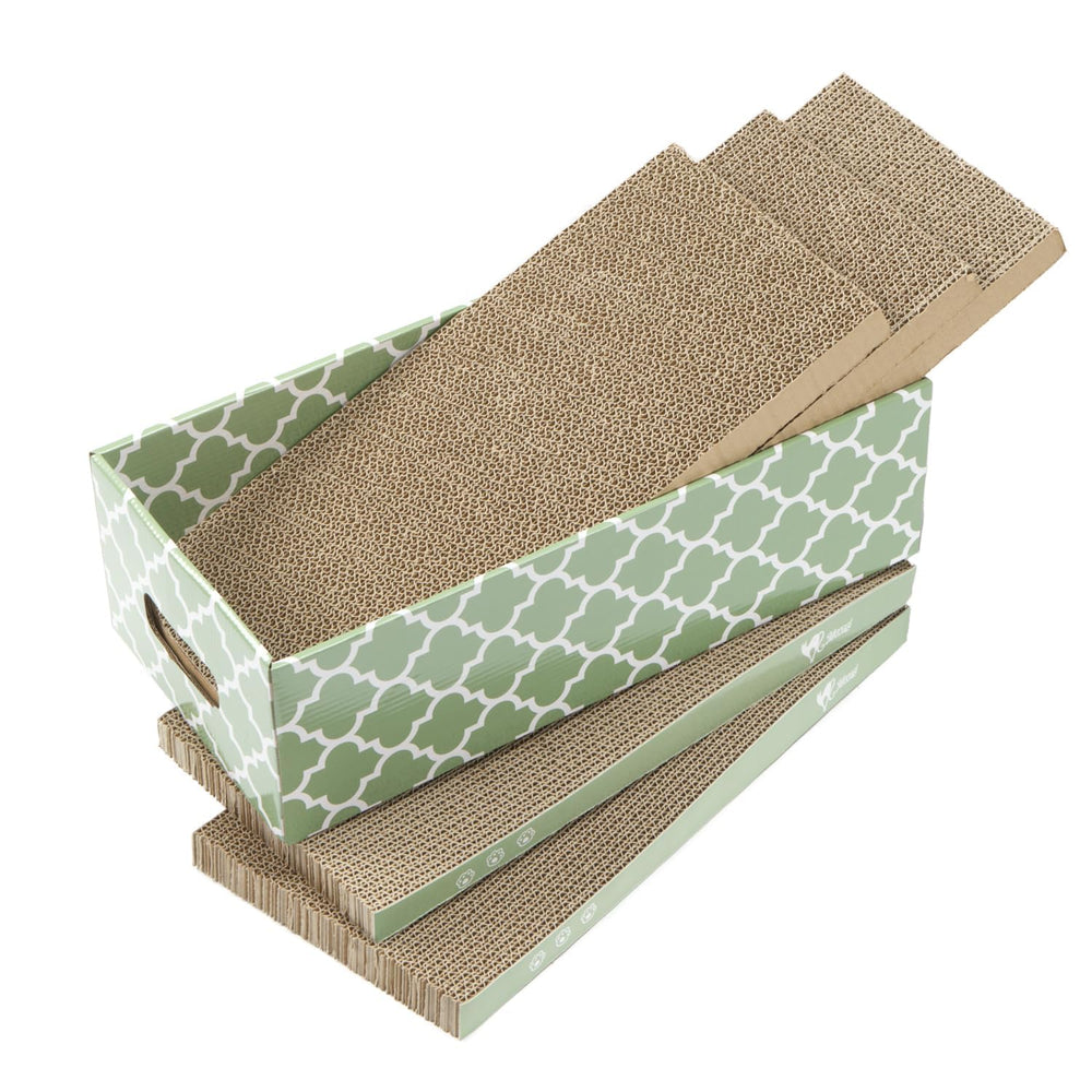 MECOOL packaging and contents: 5 boards, box, and catnip