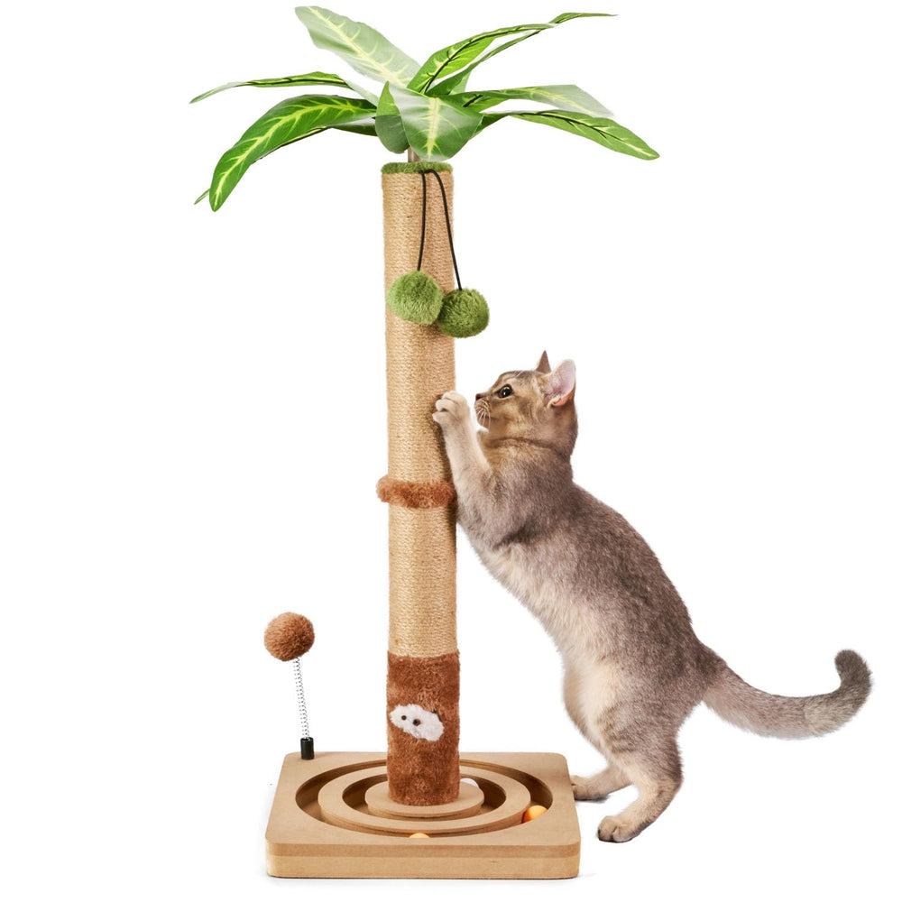 MECOOL cat scratching post base offers stable footing for active cats.