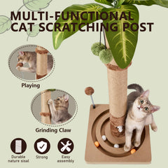 MECOOL cat scratching post with hanging ball promotes interactive play and exercise.