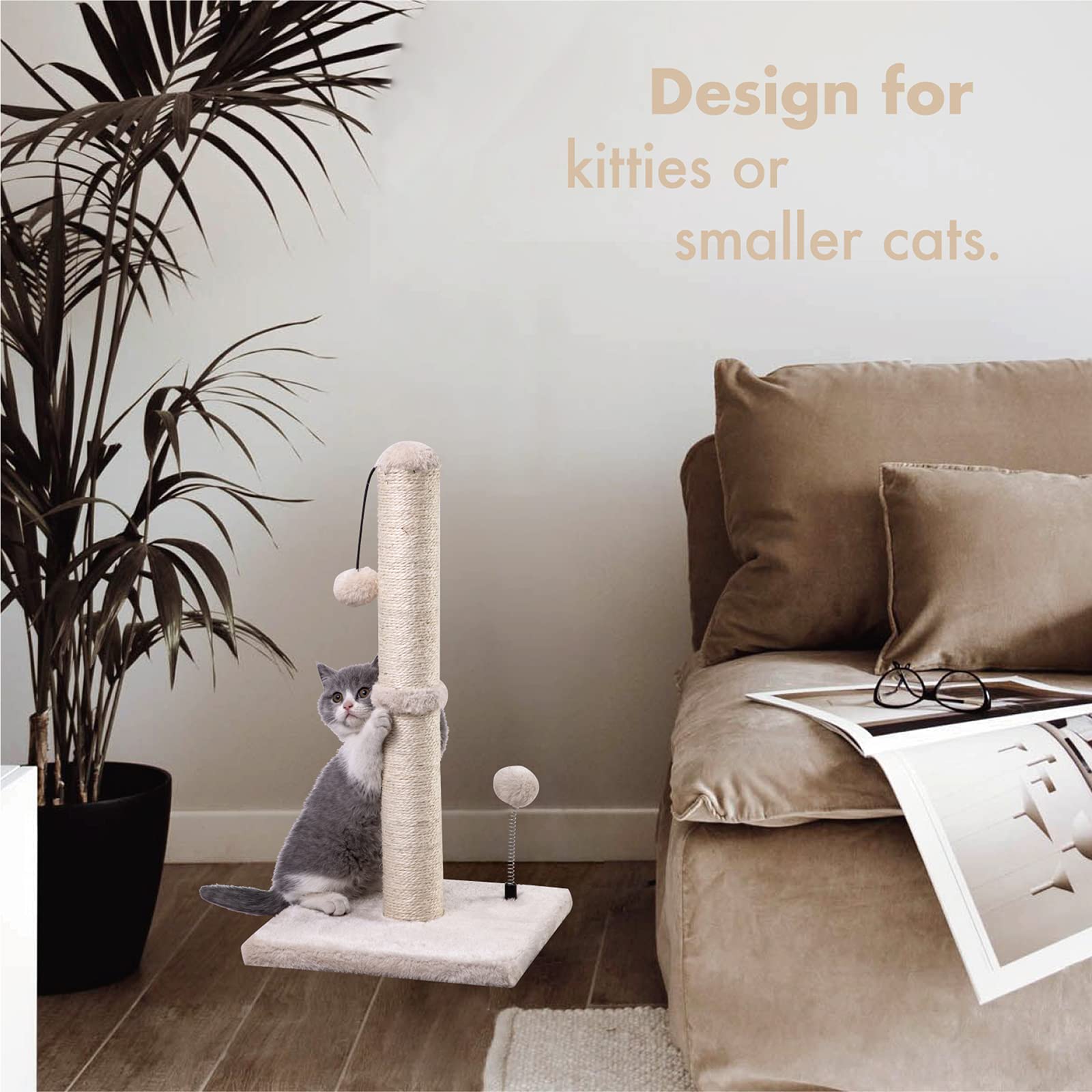 MECOOL cat scratching post kitten use highlights suitability for young cats and playtime.