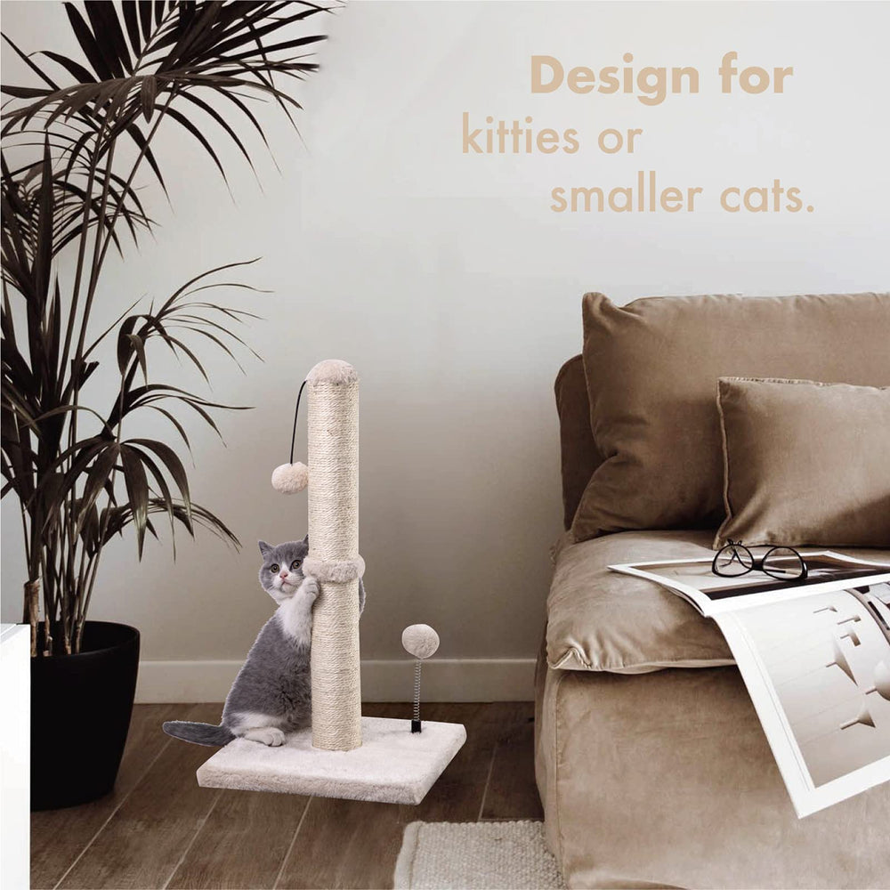 MECOOL cat scratching post kitten use highlights suitability for young cats and playtime.