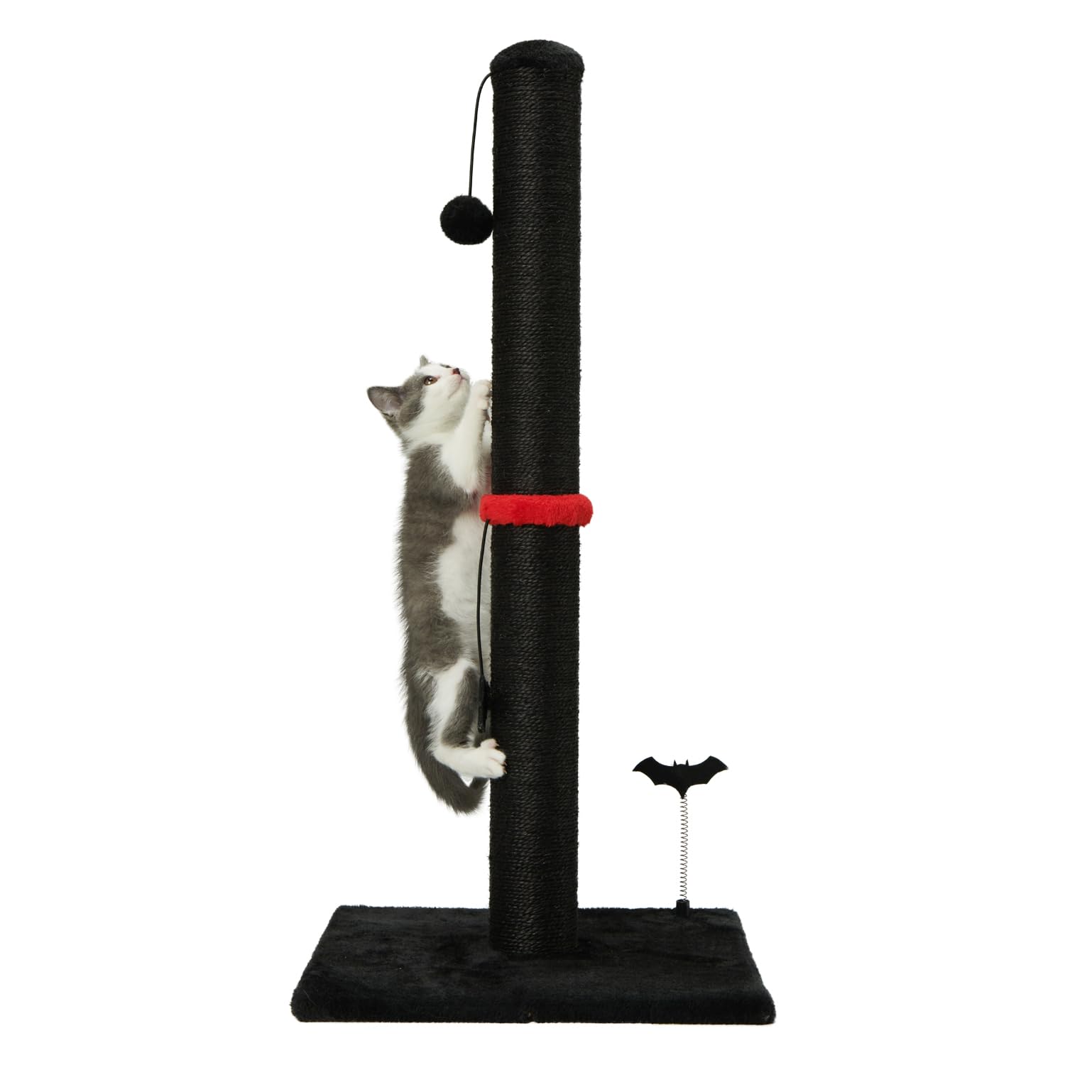 MECOOL cat scratching post kittens-friendly option for playful learning