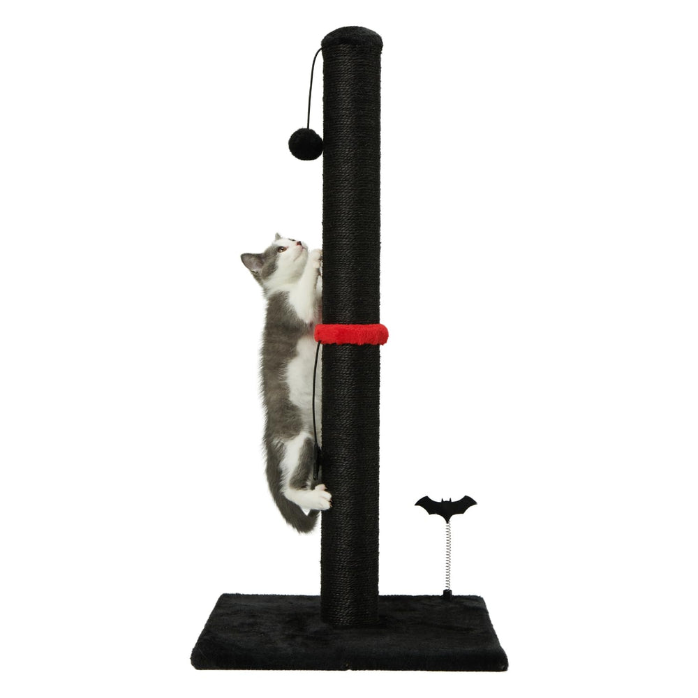 MECOOL cat scratching post kittens-friendly option for playful learning