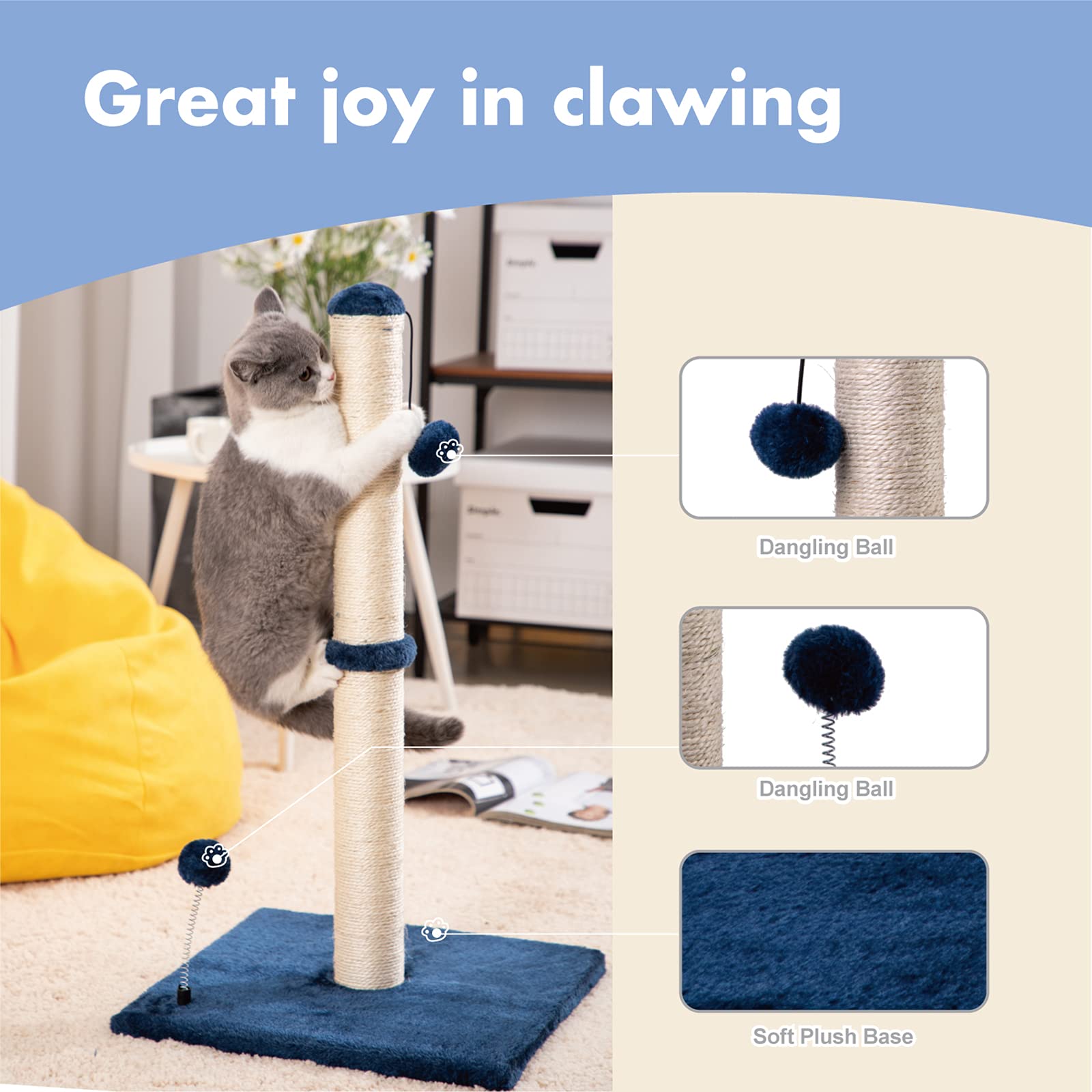 MECOOL two-size line pictured for kittens and adult cats