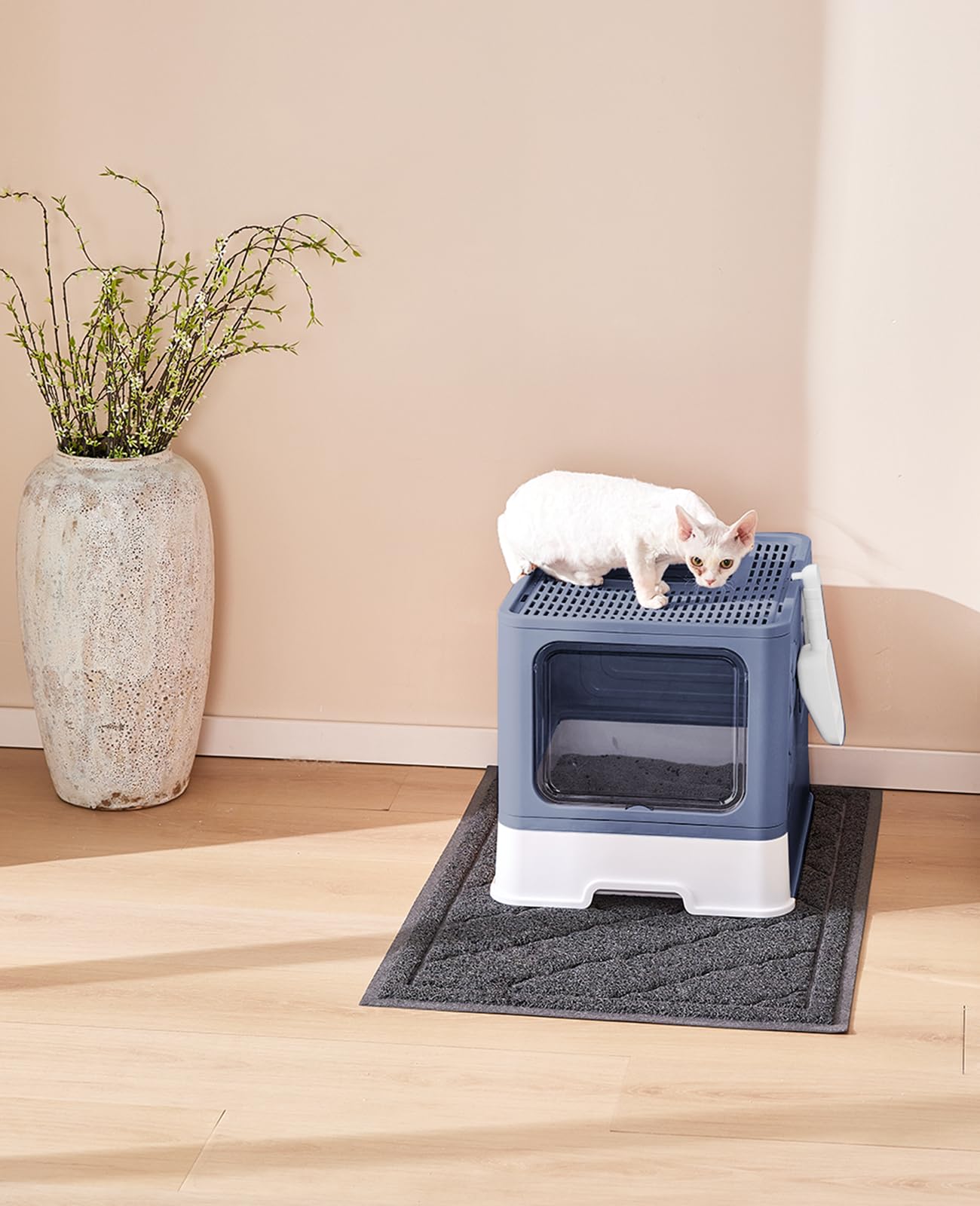 Medario litter box measures 20x16x16 inches for roomy cat use.