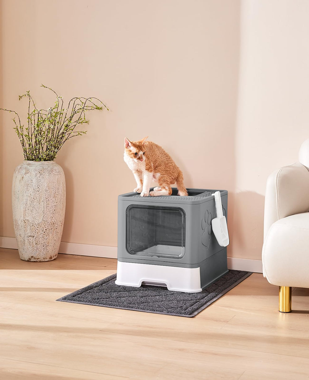 Medario litter box dimensions 20x16x16 inches fit standard spaces.