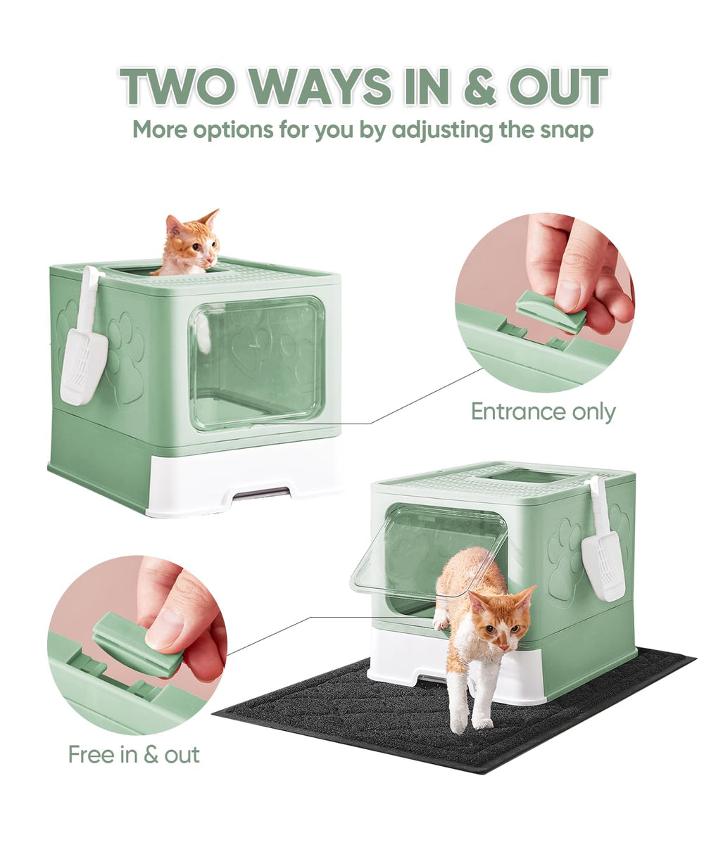 Medario cat litter box enclosed design demonstrates privacy and controlled odor.
