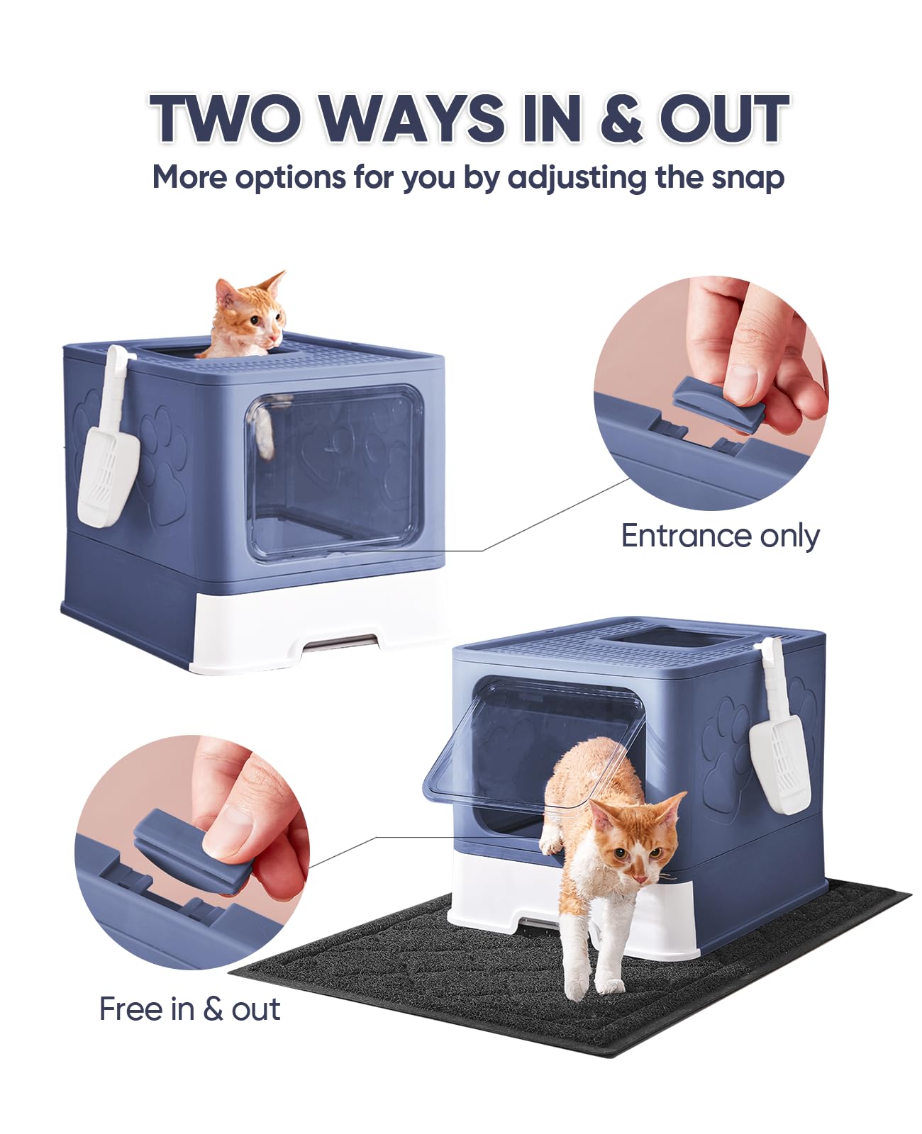 Medario cat litter box lid providing privacy and odor control.