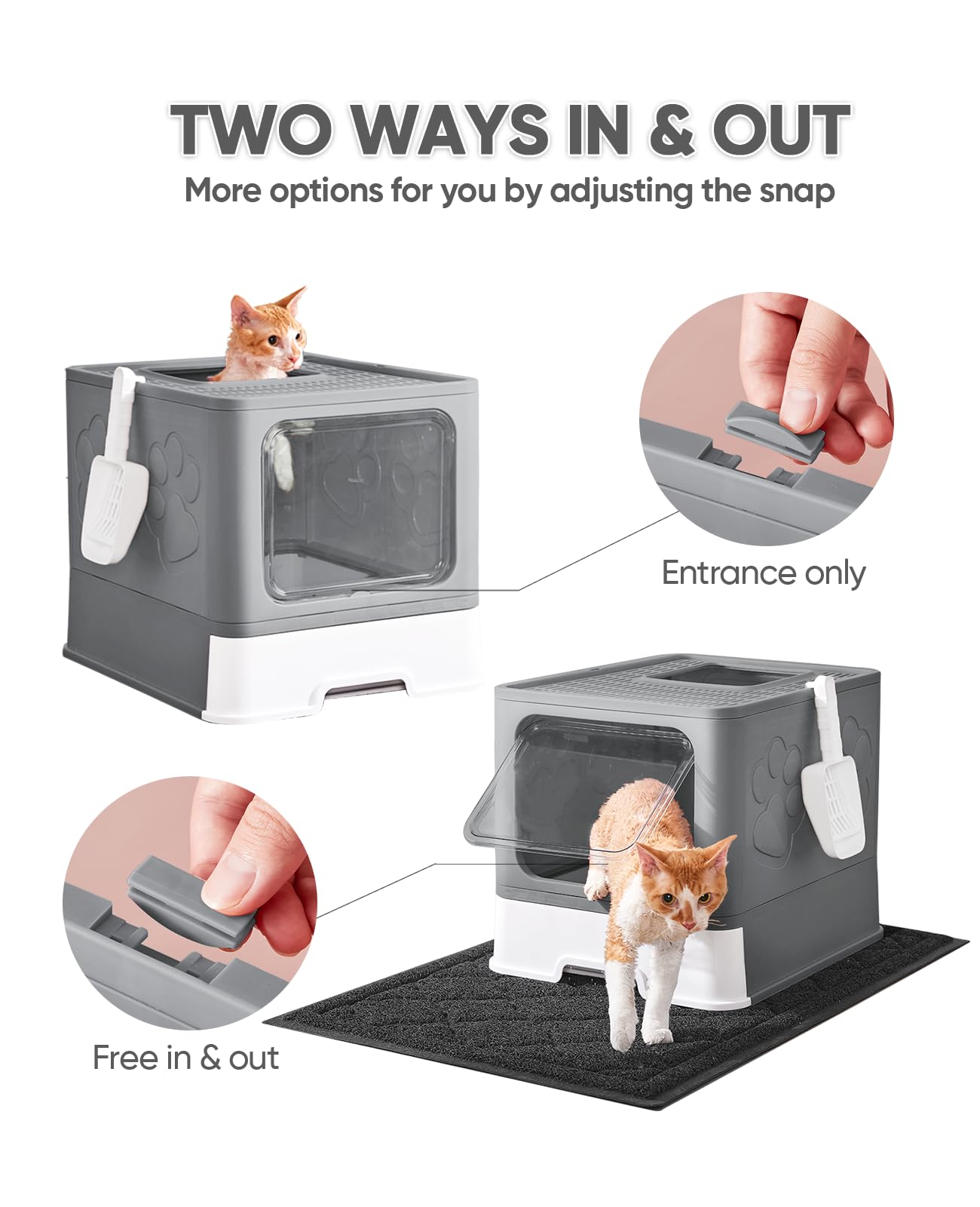Medario cat litter box top-entry shows easy entry and privacy.