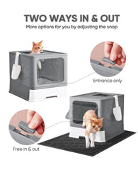 Medario cat litter box top-entry shows easy entry and privacy.
