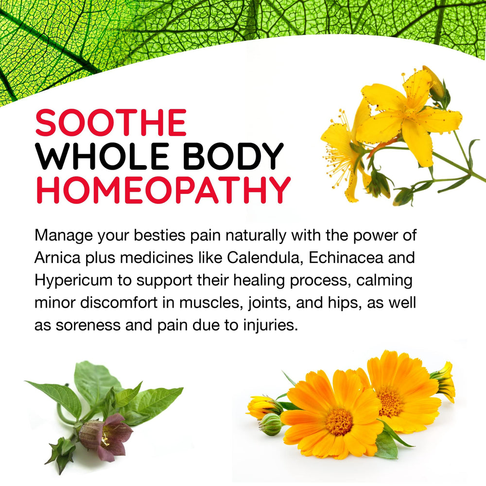 MediNatura T-Relief natural-label packaging highlights plant-based, non-narcotic relief.