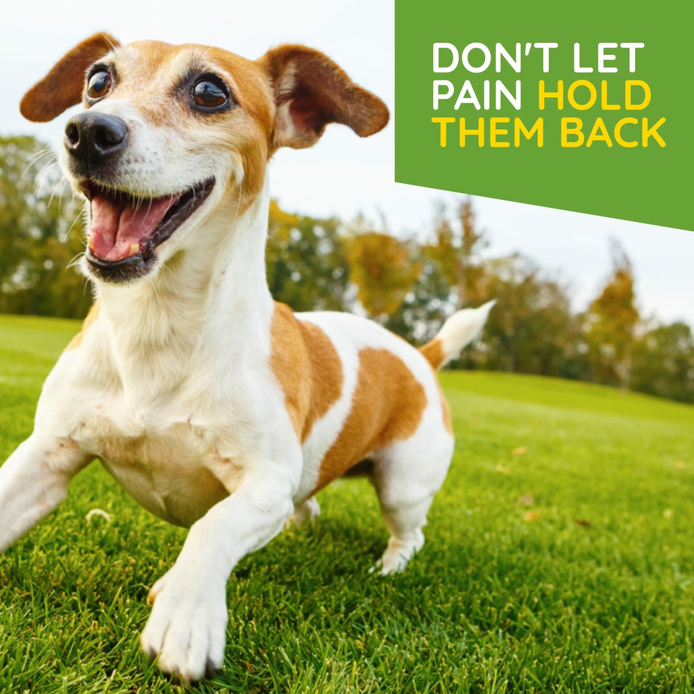 MediNatura T-Relief tablets quick-dissolve when mixed with water for easy dosing.