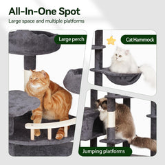 Meecal condos and hammocks provide cozy hideaways and relaxing naps.