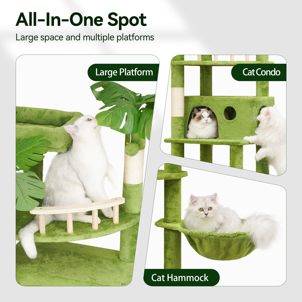 Meecal anti-tip design with wall mounting keeps curious big cats safe